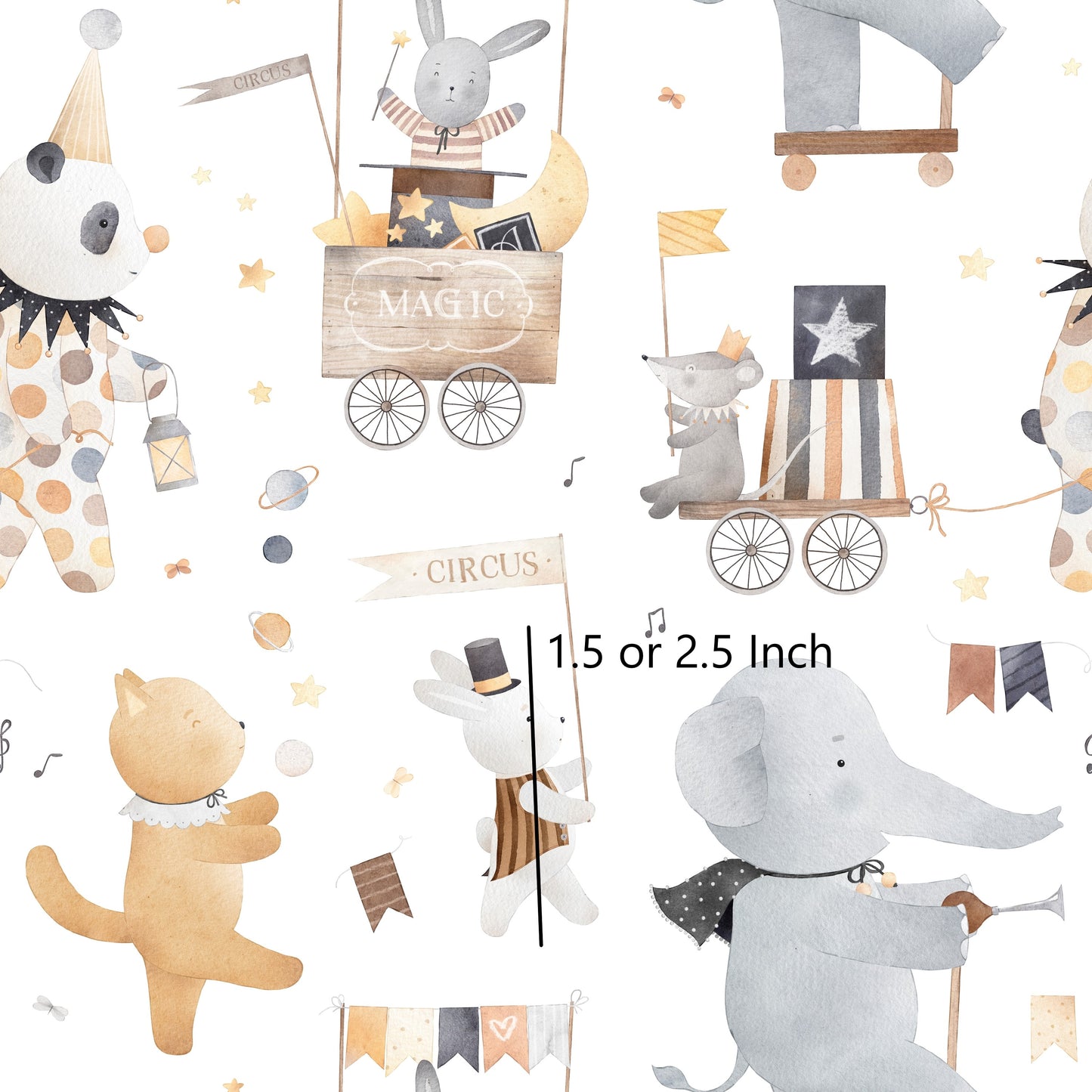 November Pre Order - Animal Circus