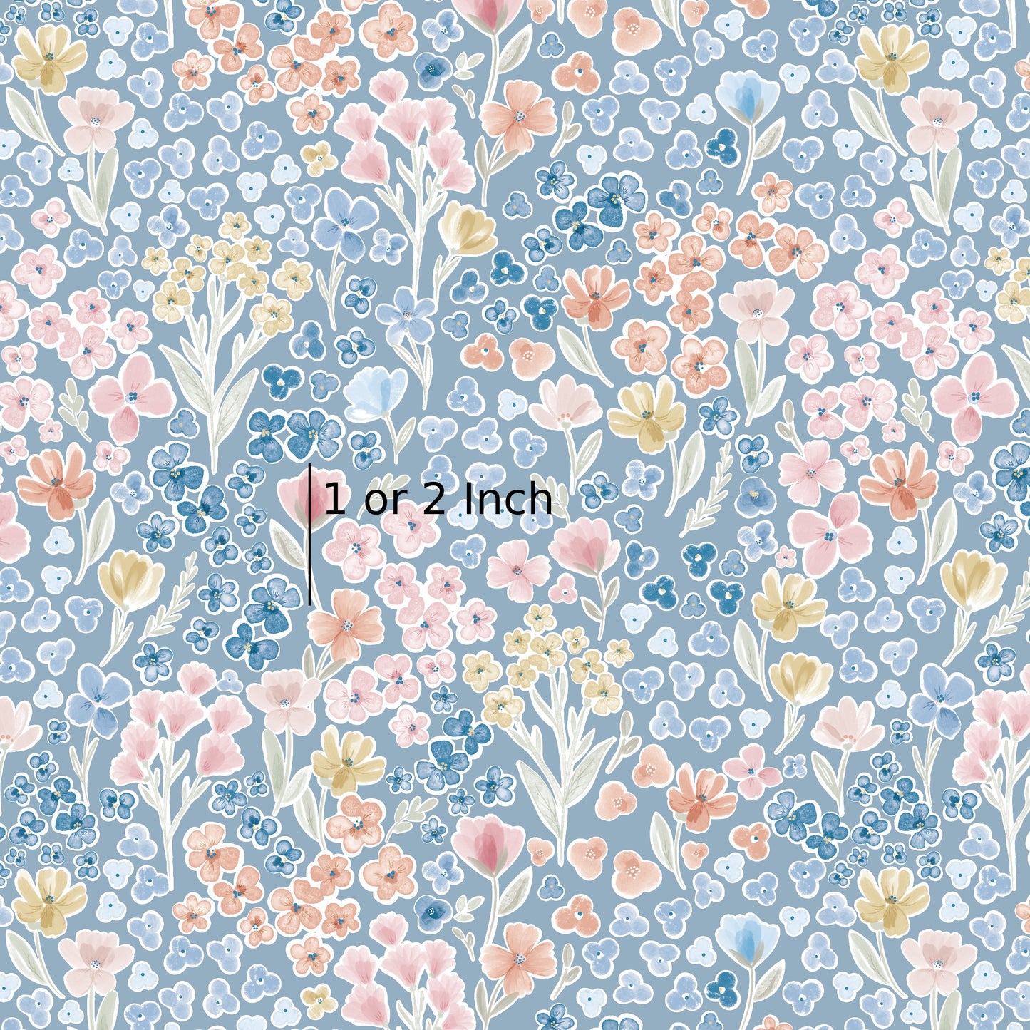 June Pre Order - Carla