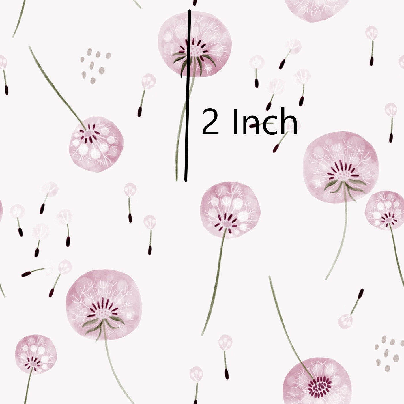 November Pre Order - Darcy