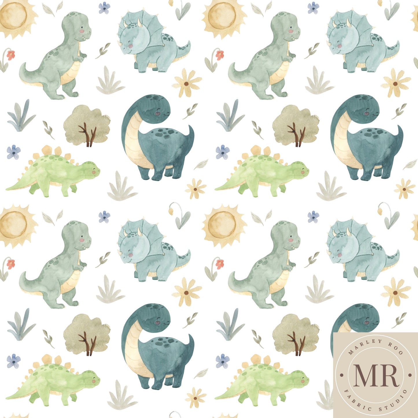 May Pre Order - Dinosaur Valley