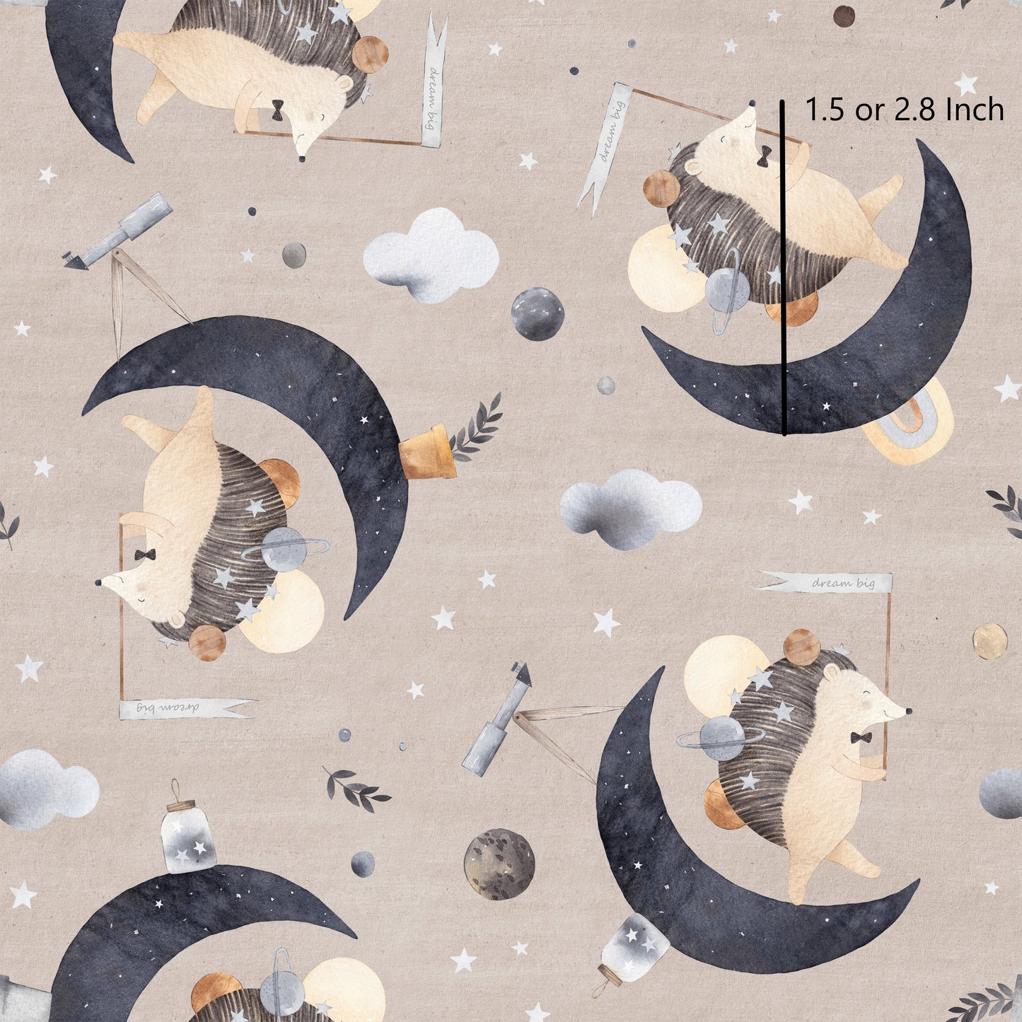 January Pre Order - Hedgie On The Moon