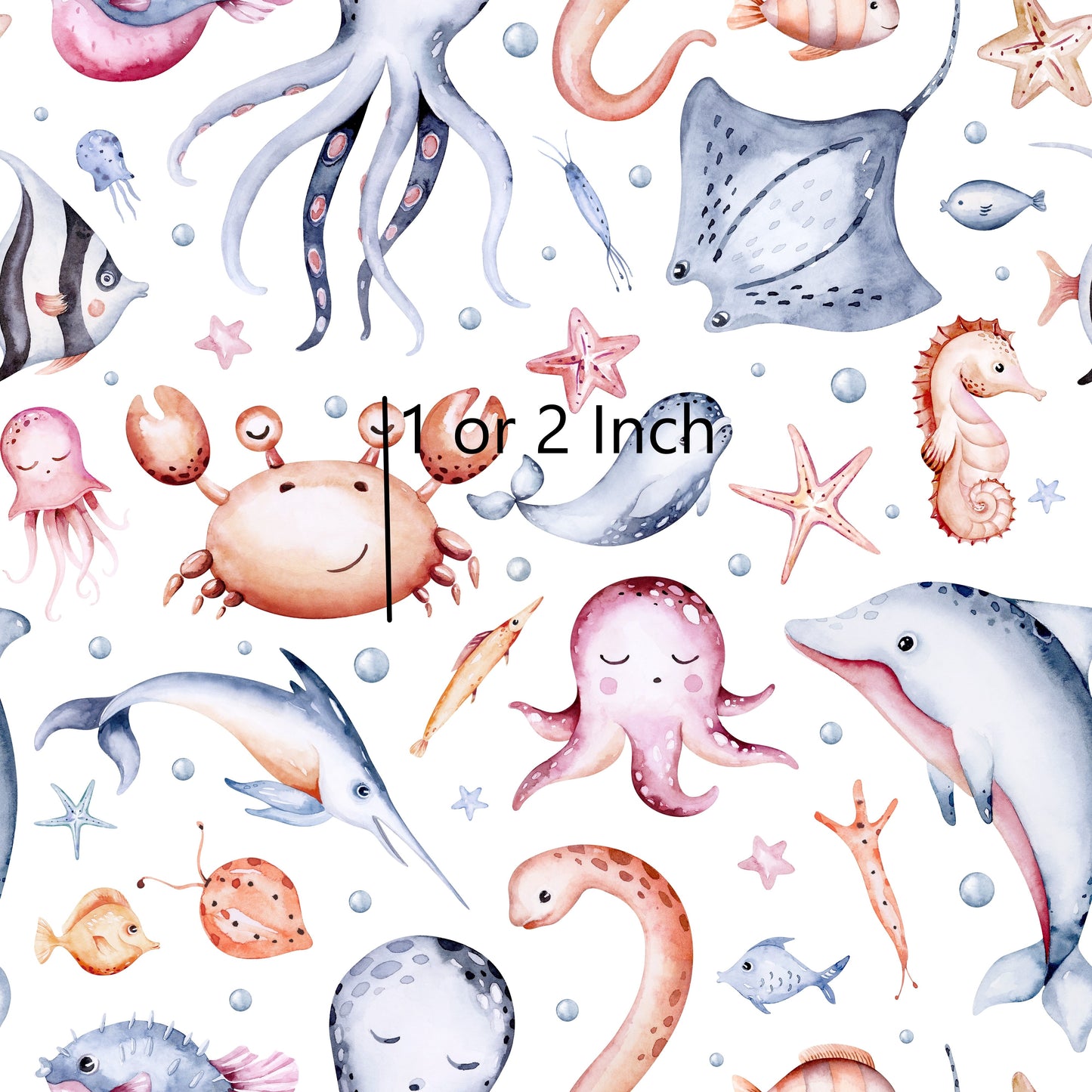 June Pre Order - Marine Life
