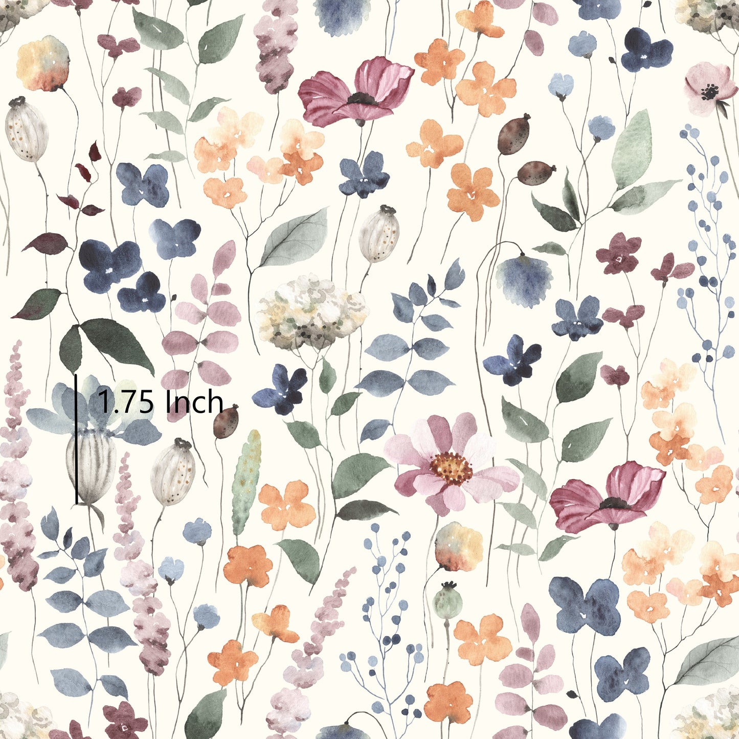 November Pre Order - Sally