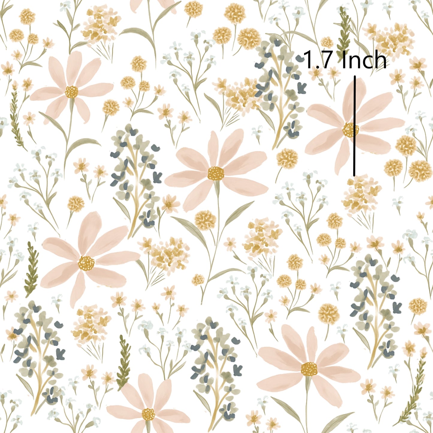 November Pre Order - Wattle Daisy