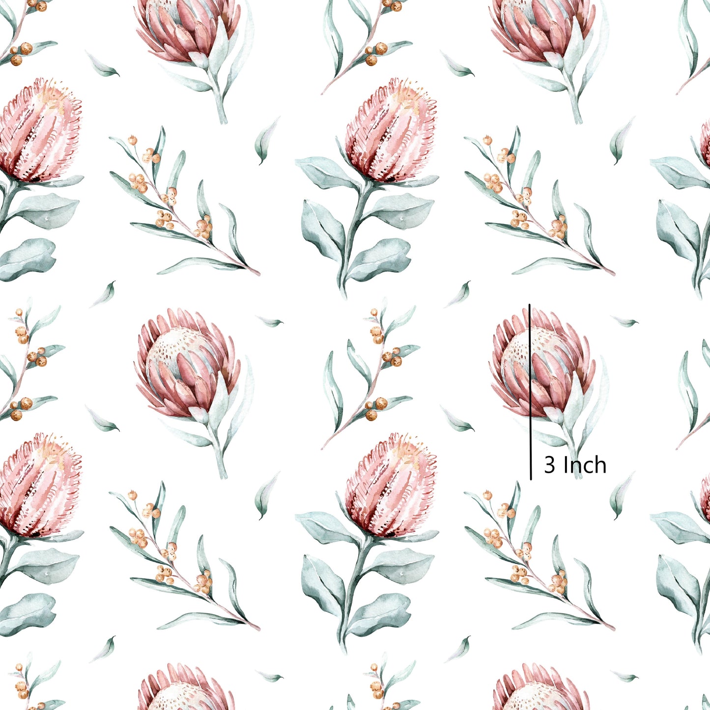 November Pre Order - Native Protea