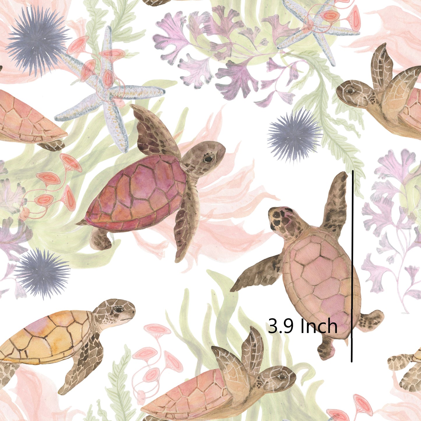 November Pre Order - Pastel Turtle