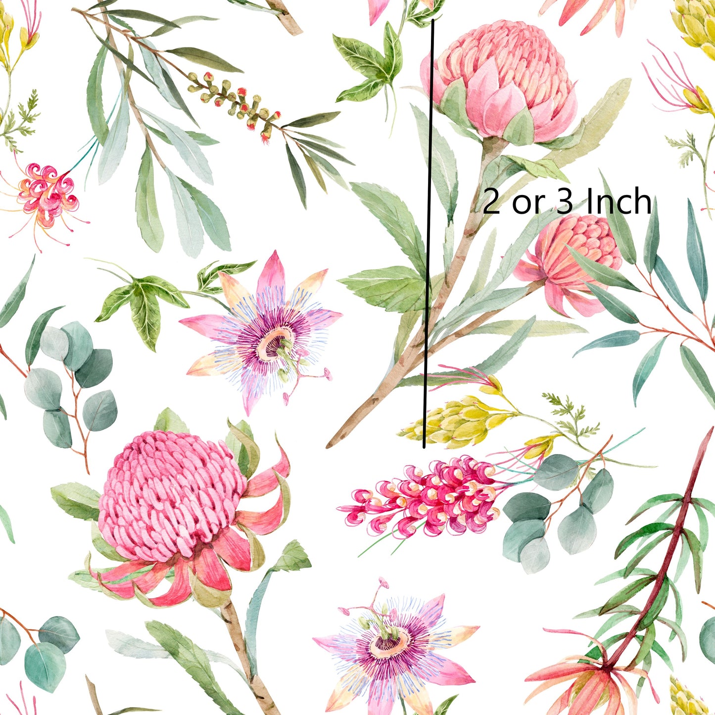 June Pre Order -Bright Natives