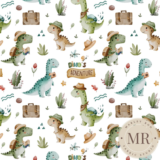 November Pre Order - Dino Adventure