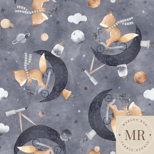 May Pre Order - Fox On The Moon