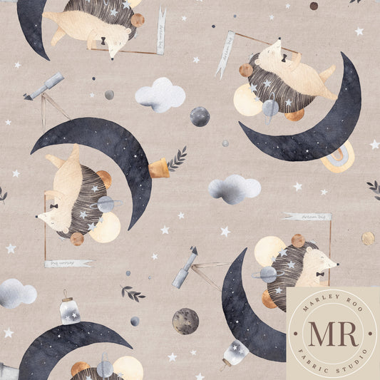 May Pre Order - Hedgie On The Moon