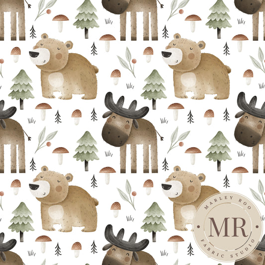 November Pre Order -Monty & Barney