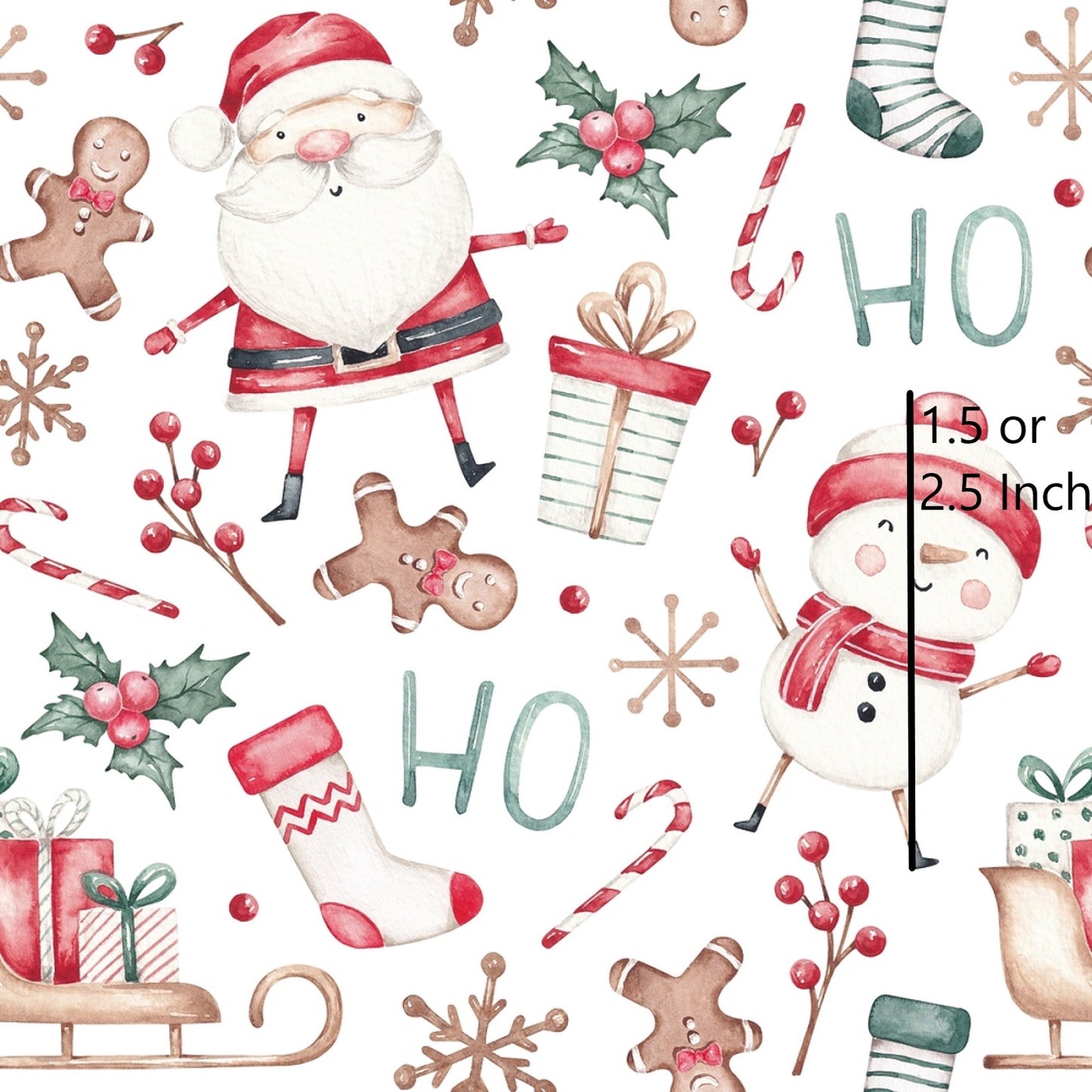 June Pre Order - Santa Surprise
