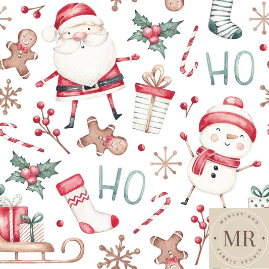 June Pre Order - Santa Surprise