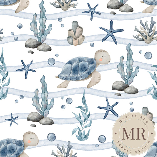 November Pre Order - Thomas Turtle