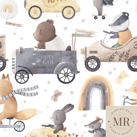 May Pre Order - Vintage Adventure Time