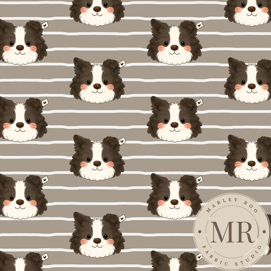 June Pre Order - Brodie the Border Collie - Stripe