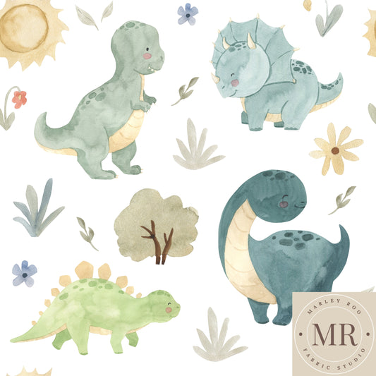 May Pre Order - Dinosaur Valley