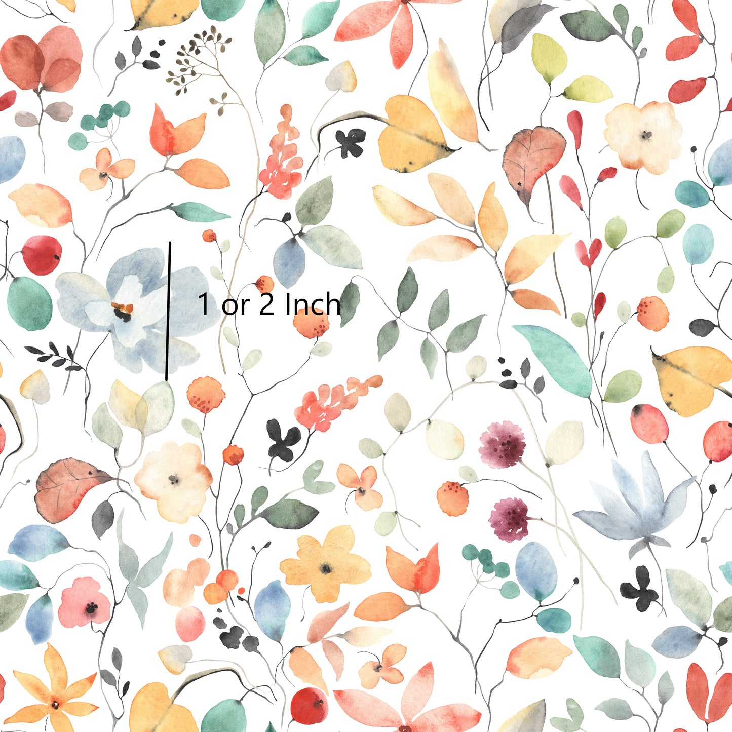 November Pre Order - Lollie