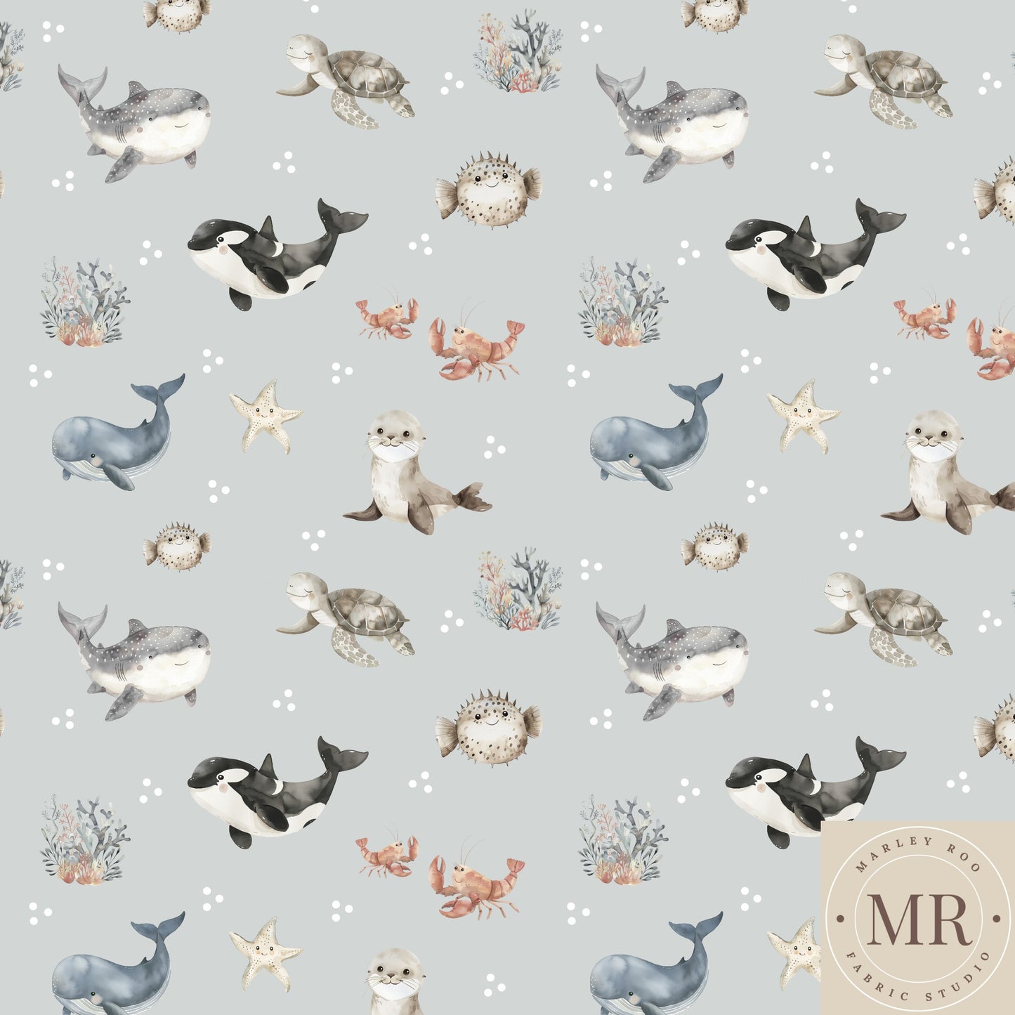 November Pre Order - Ocean Buddies Ice