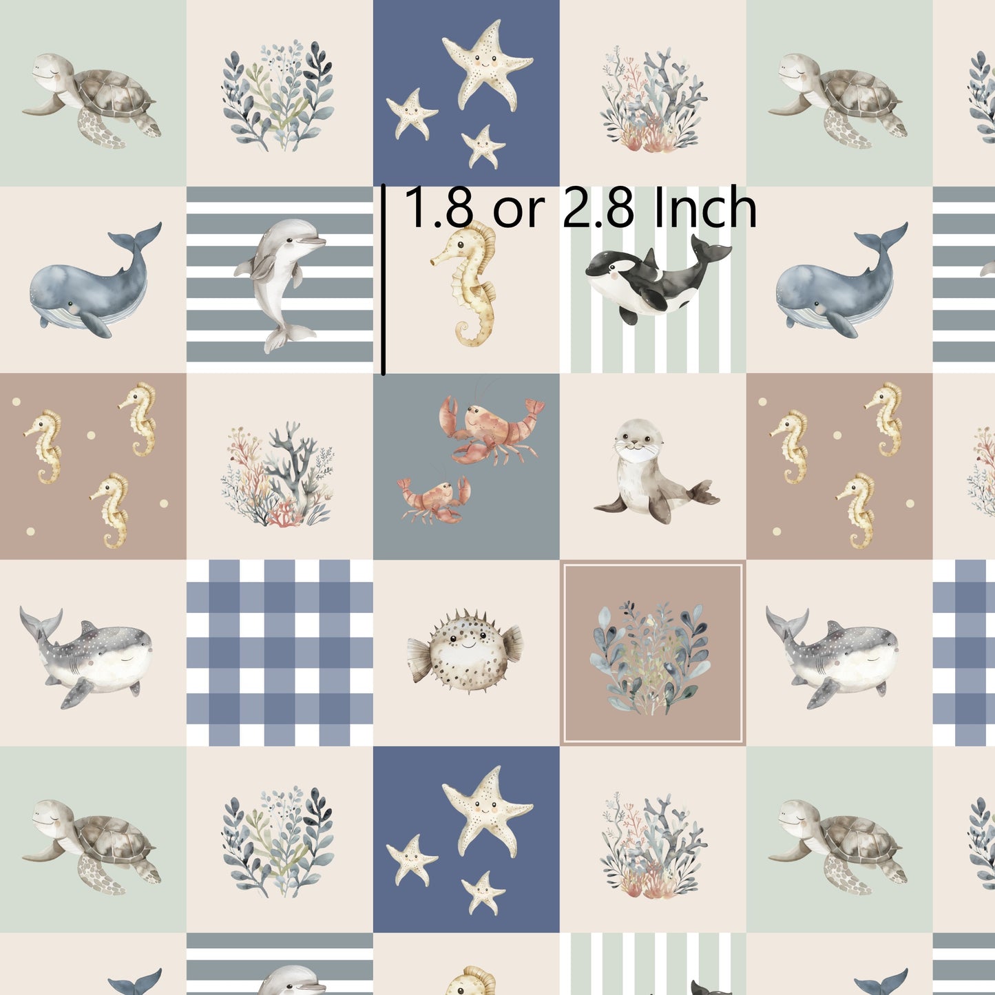 November Pre Order - Sea Life - Cobble