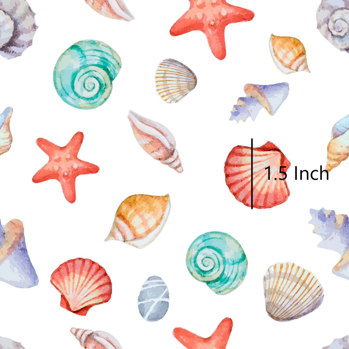 November Pre Order - Sea Shells