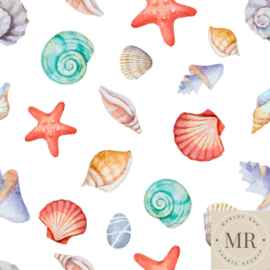 May Pre Order - Sea Shells