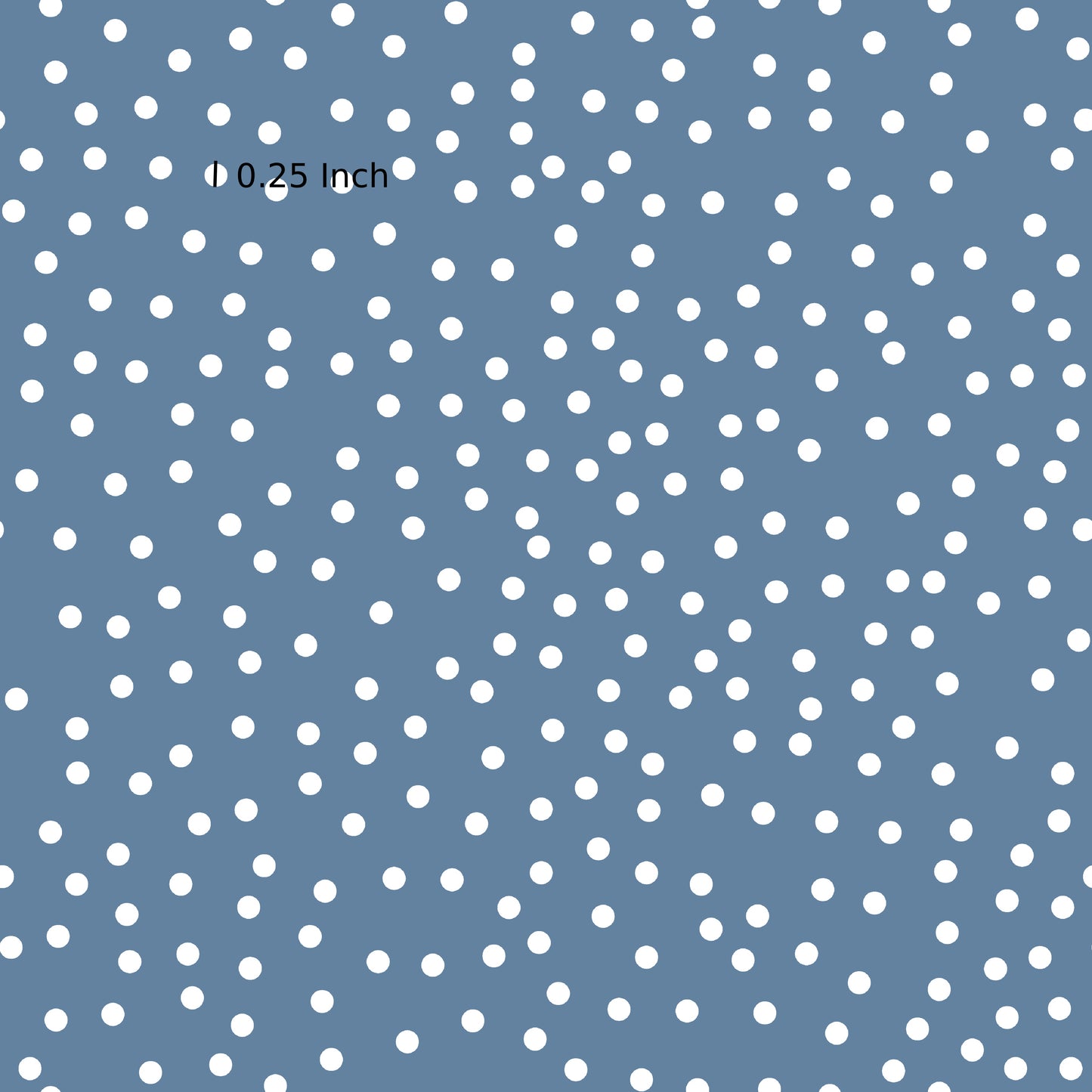June Pre Order - Seaside Ducks Blue Polka Dots