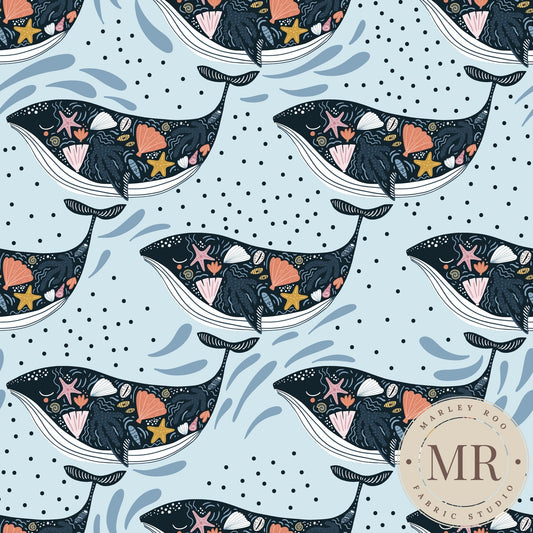 June Pre Order - Wilma the Whale