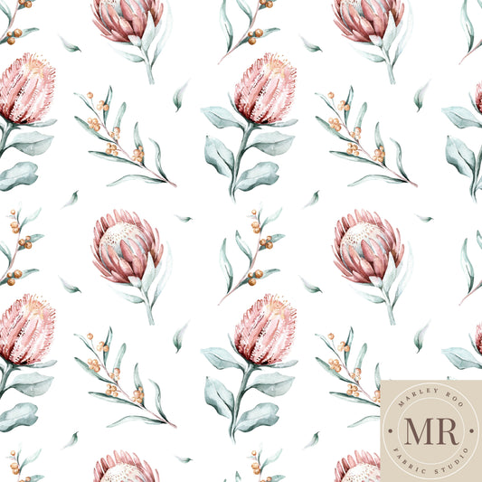 May Pre Order - Native Protea