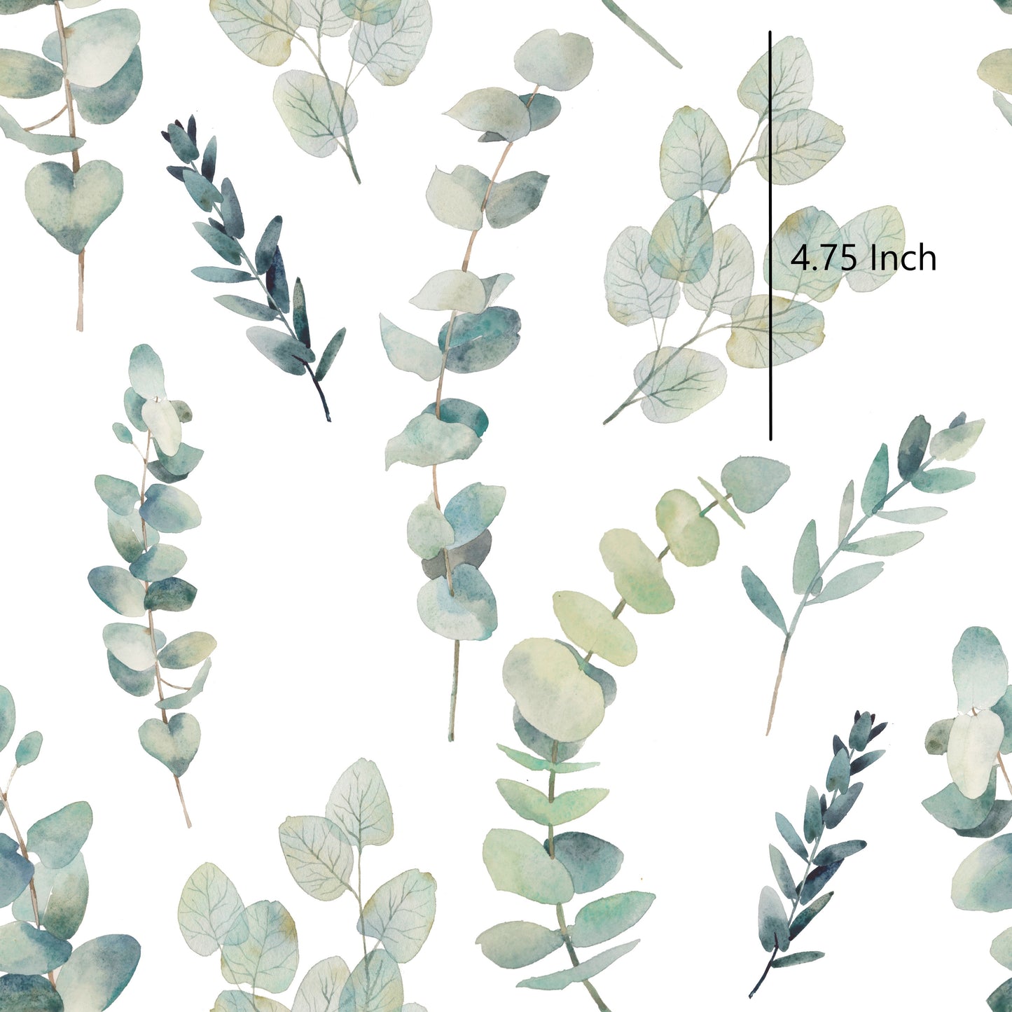 May Pre Order - Eucalyptus Branch