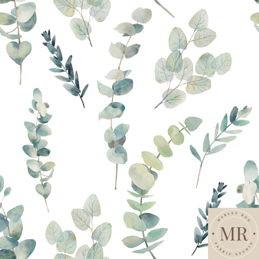 May Pre Order - Eucalyptus Branch