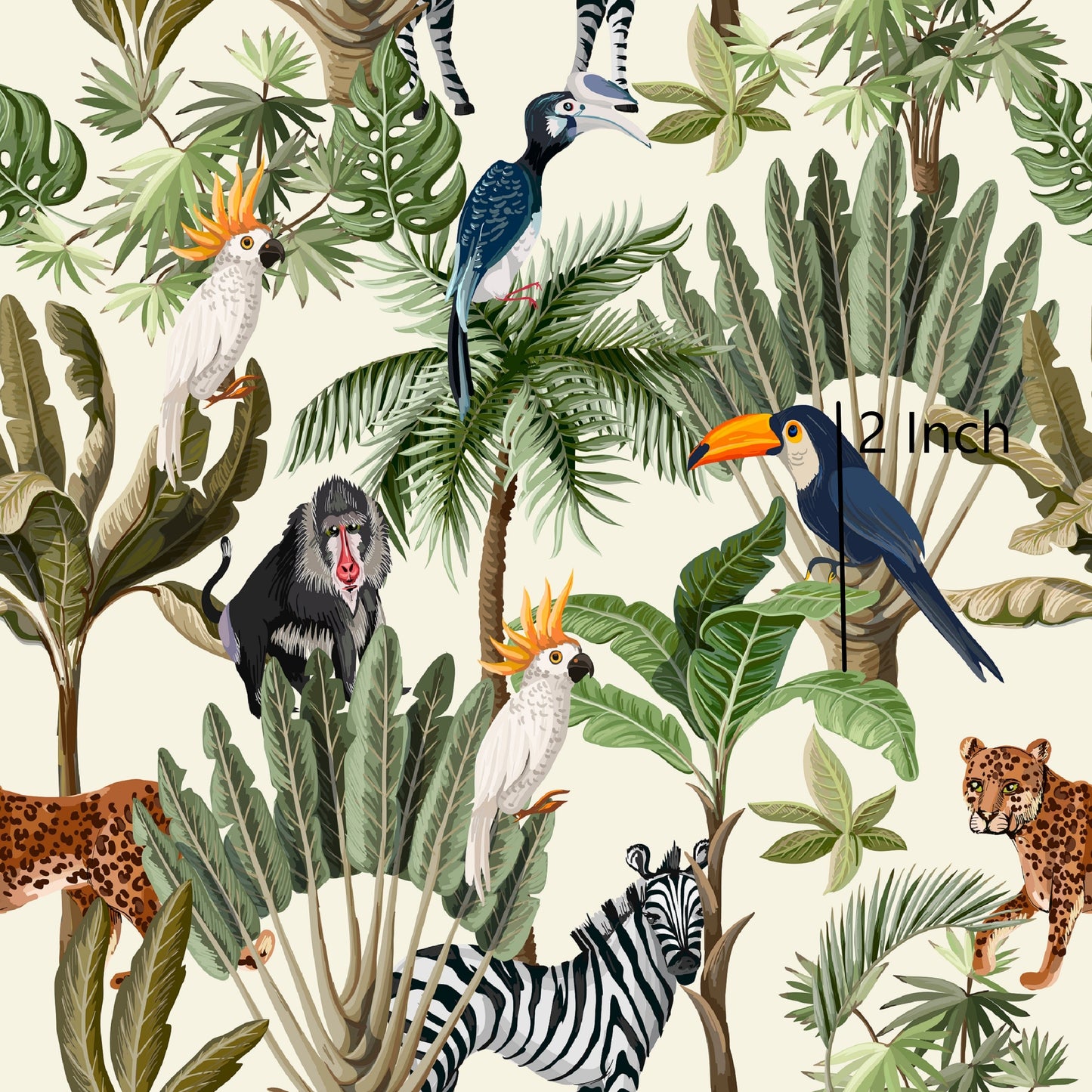 May  Pre Order - Jungle