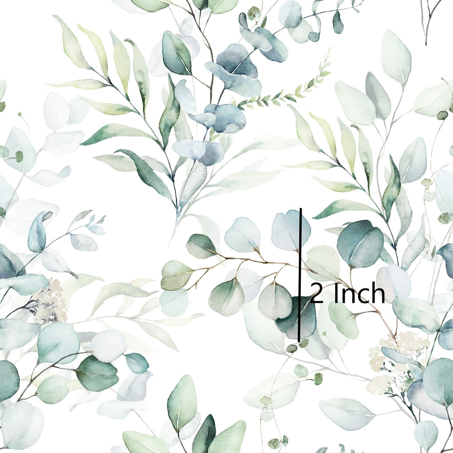 May Pre Order - Silver Dollar Eucalyptus